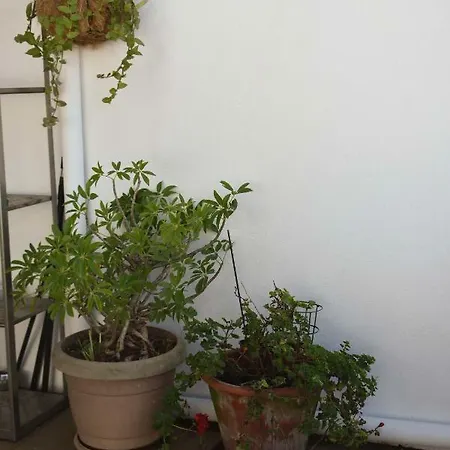 Terraço Da Boavista Oporto